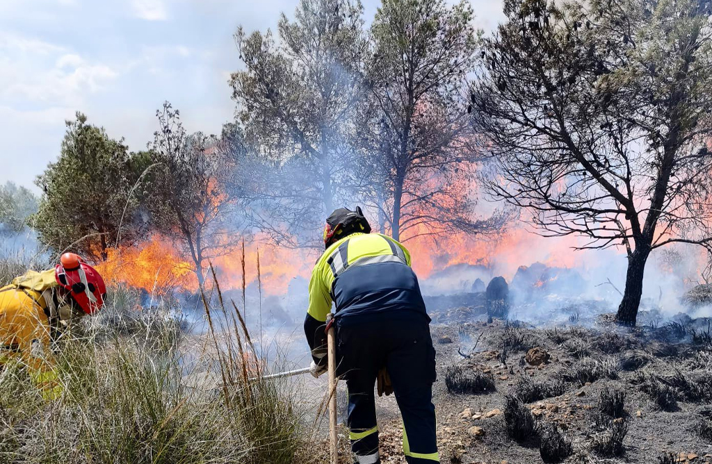 Un incendio en el Llano de las Cabras arrasa 436 hect�reas de terreno
